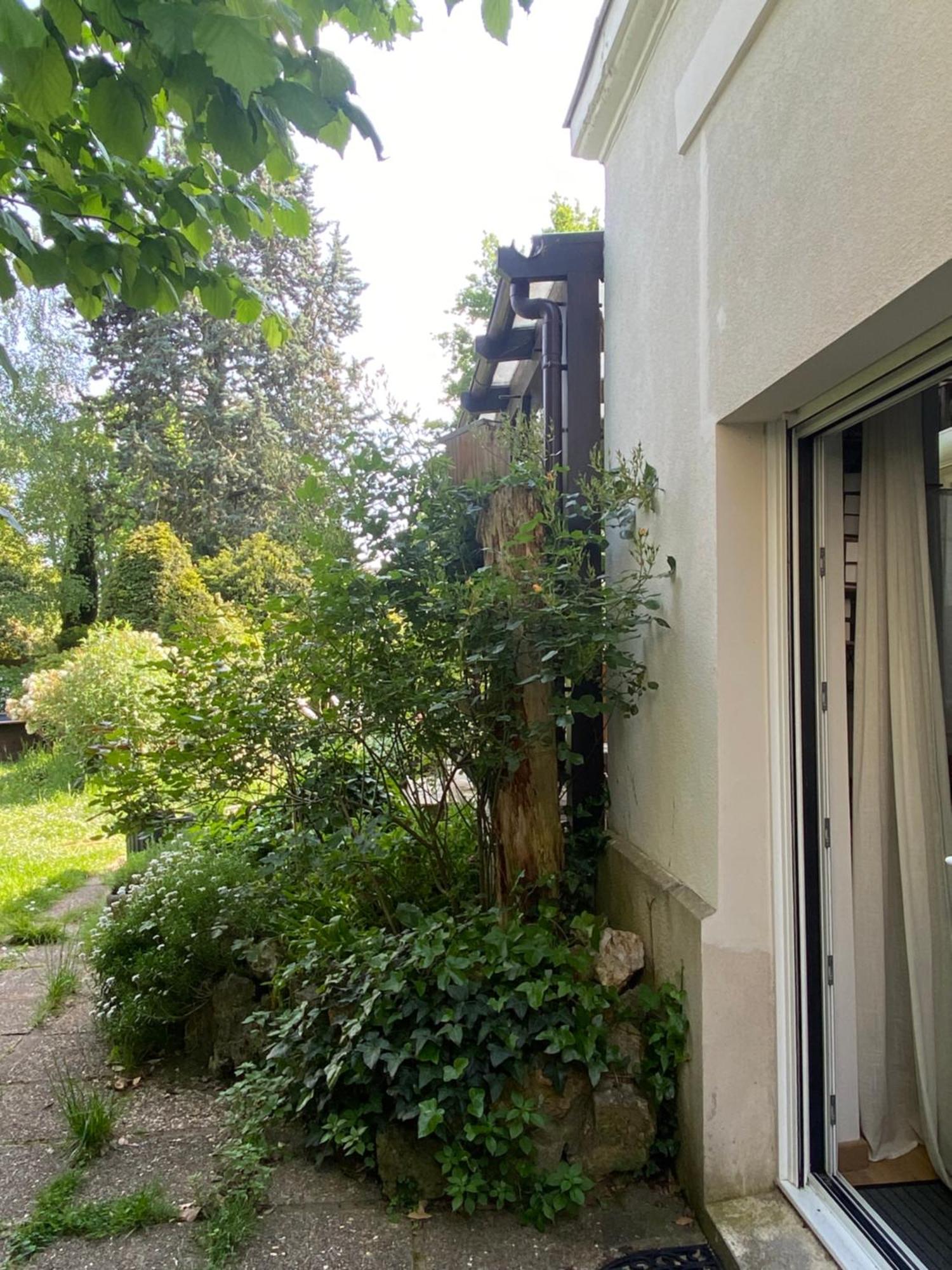 Les Charmettes Chambre D Hotes Villemoisson-Sur-Orge Esterno foto