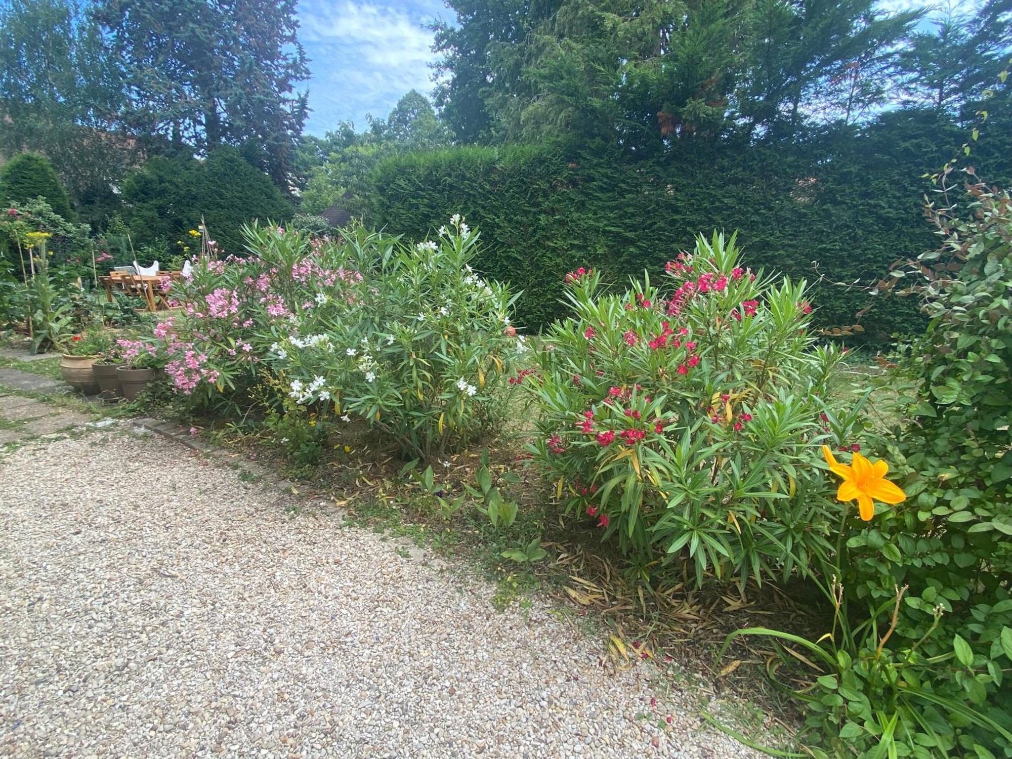 Les Charmettes Chambre D Hotes Villemoisson-Sur-Orge Esterno foto